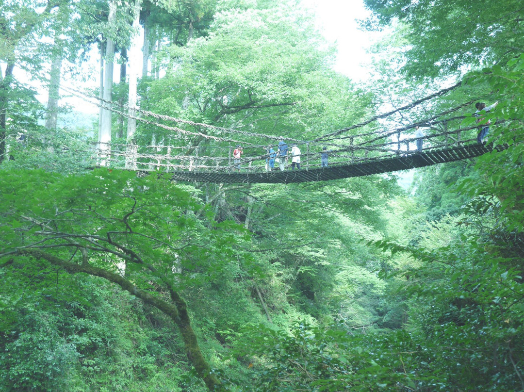 Vine Bridge, Ikedacho景点图片