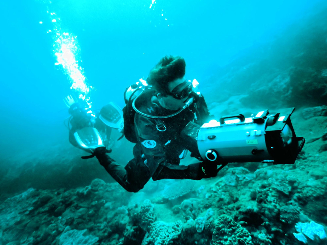 Pisces Diving Sodwana Bay