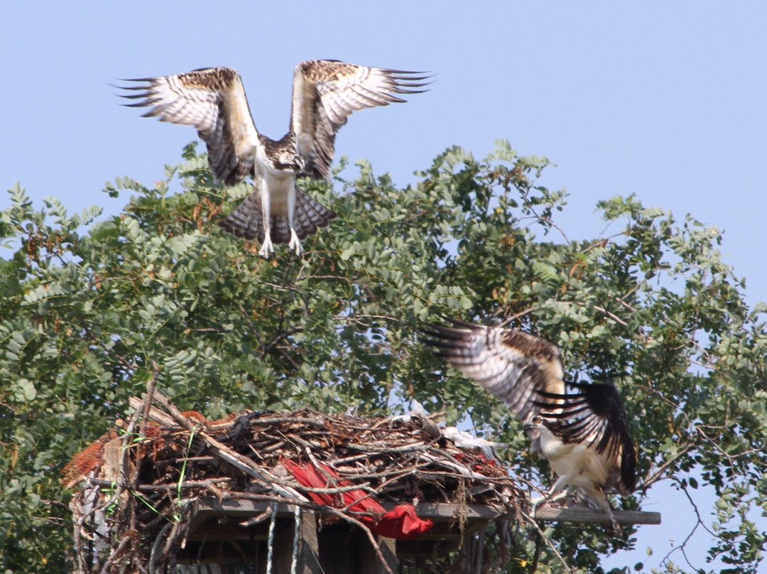 GLORY-Greenport必去景点