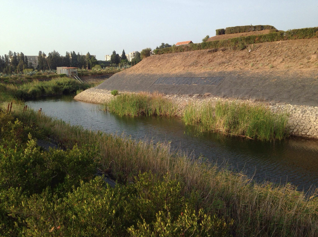 Parco Ecolandia景点图片