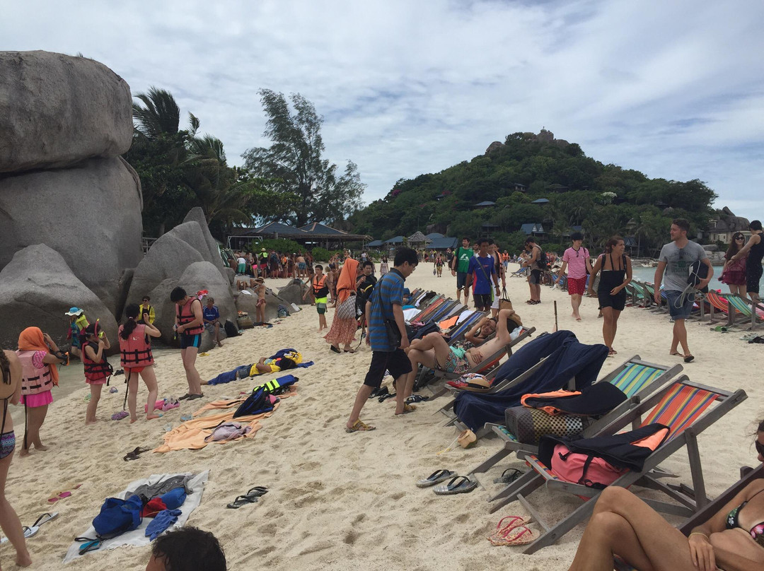 Easy Divers - Koh Nang Yuan-南园岛必去景点