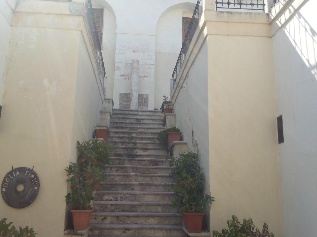 Museo Civico Archeologico di Palazzo Iliceto景点图片