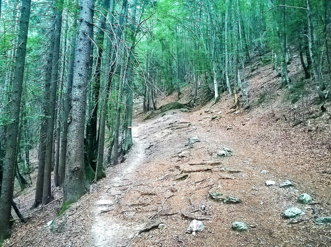 Val Sanguigno-Valgoglio必去景点