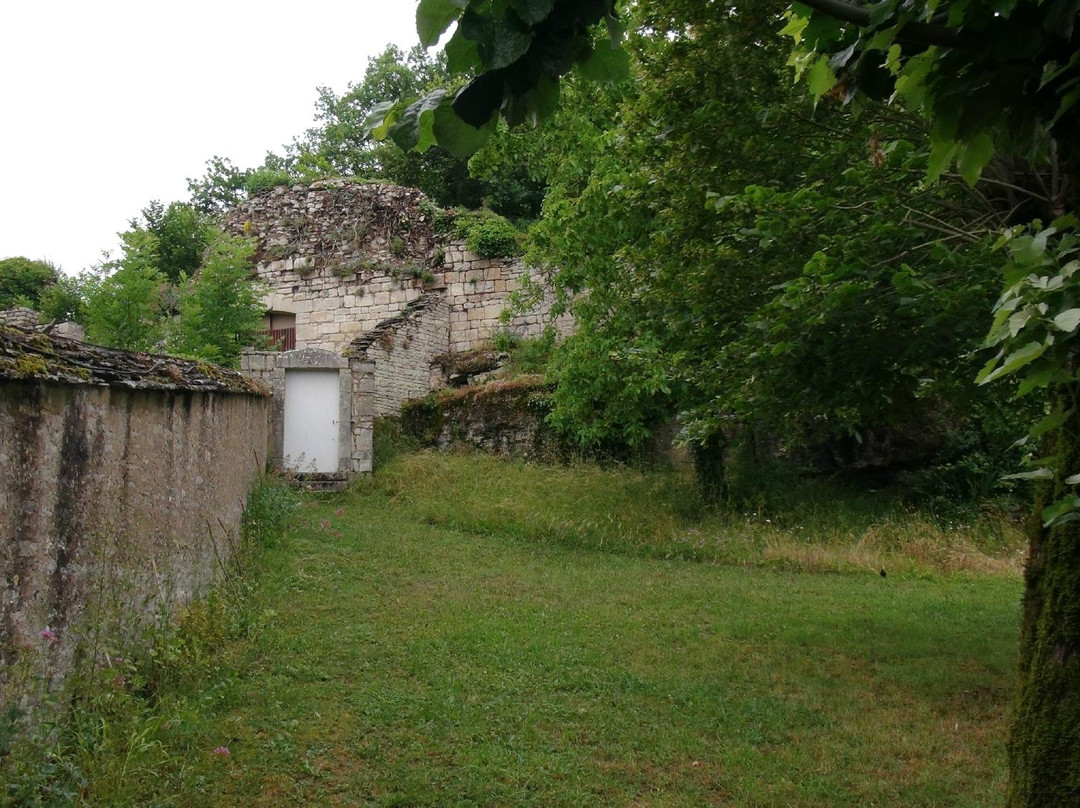 Château de Noyers-sur-Serein景点图片