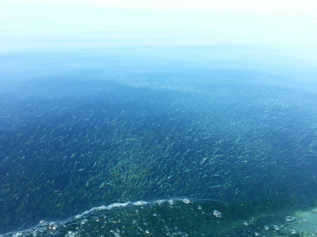 Badavut Beach-Ayvalik必去景点