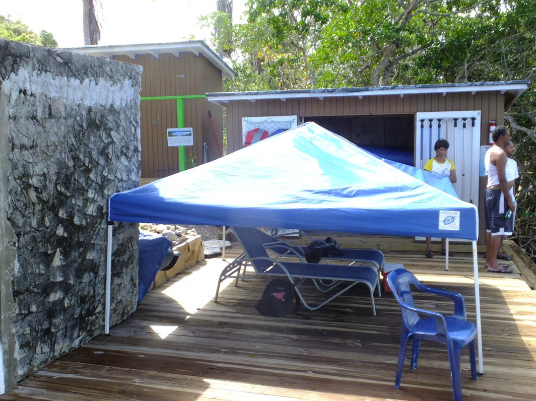 Edwin's Turtle Lake Marine Reserve-伊柳塞拉必去景点