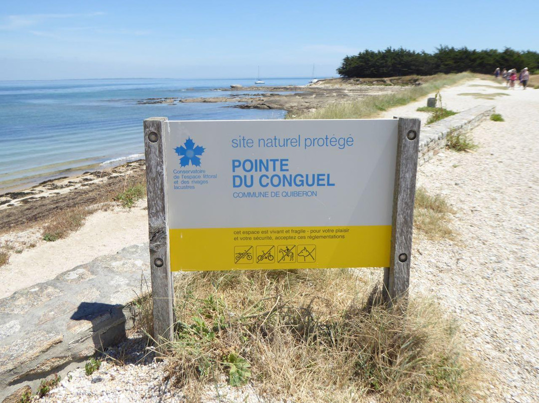 Pointe du Conguel景点图片