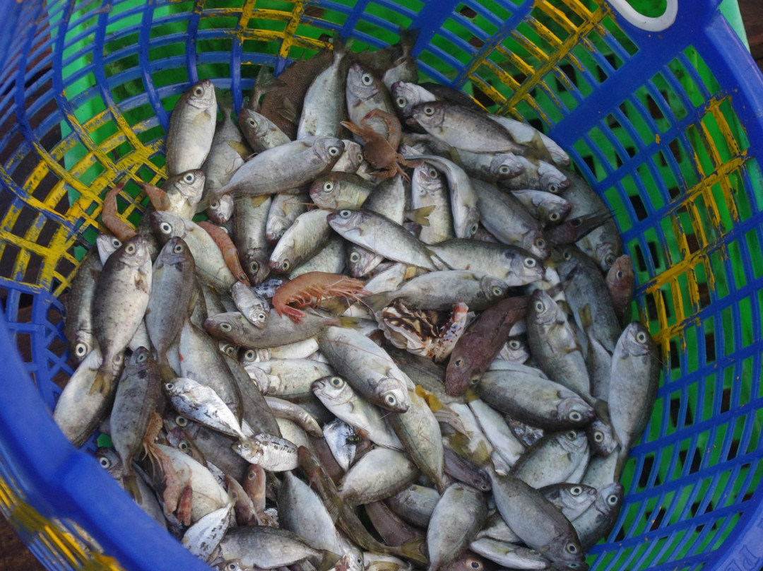 Tra Nhieu Fishing Village景点图片