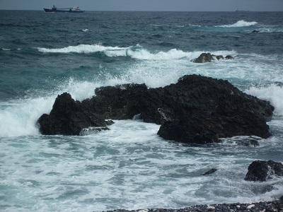 Cape Muroto-室户市必去景点