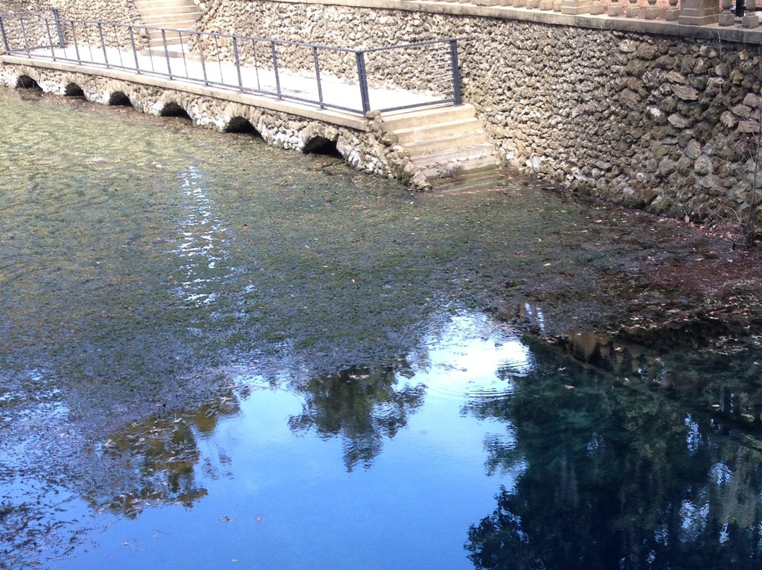 Radium Springs Gardens-奥尔巴尼必去景点