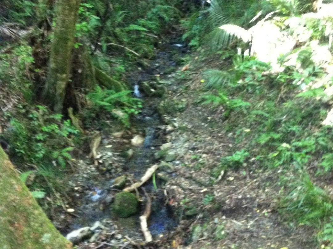 Hemi Matenga Memorial Park Scenic Reserve景点图片