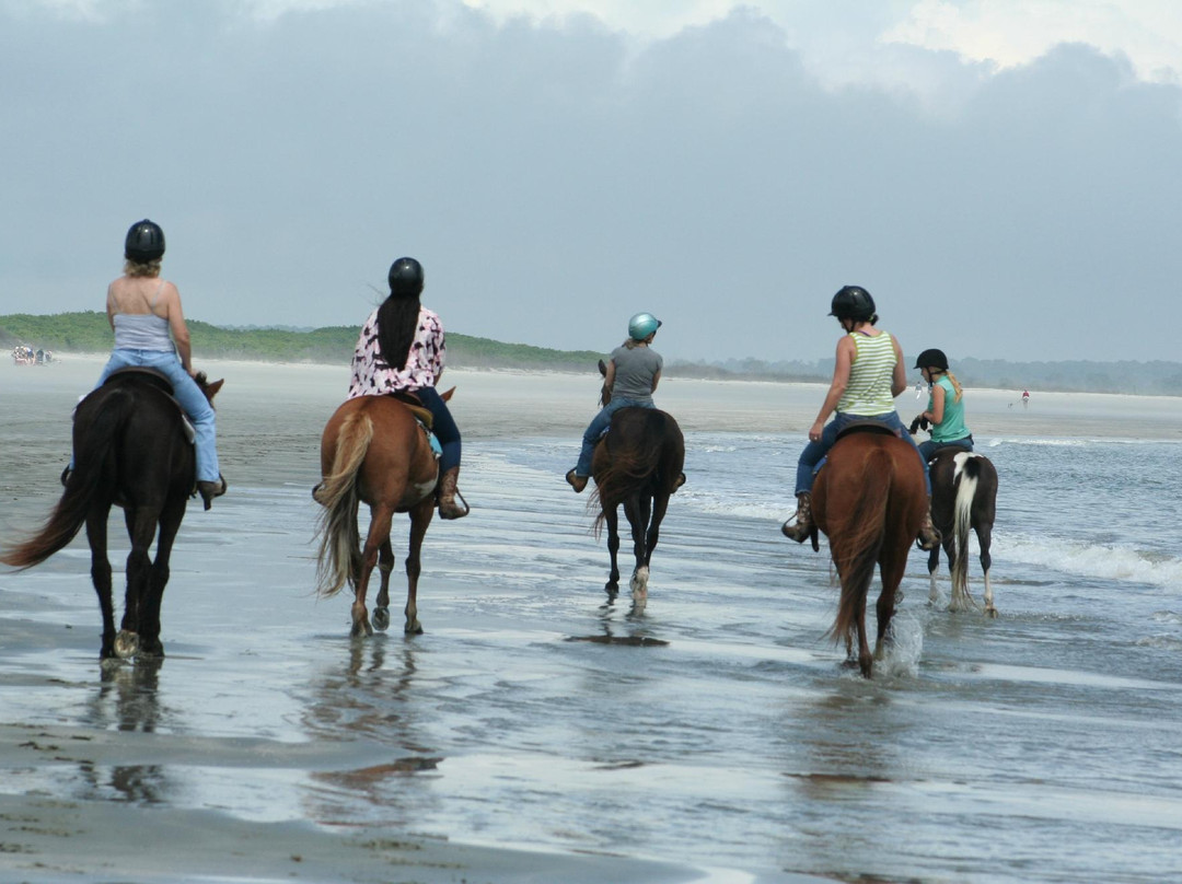 Seabrook Island Equestrian Center景点图片