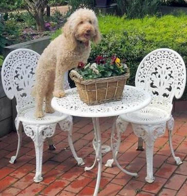 Tranquil Gardens Bairnsdale主图