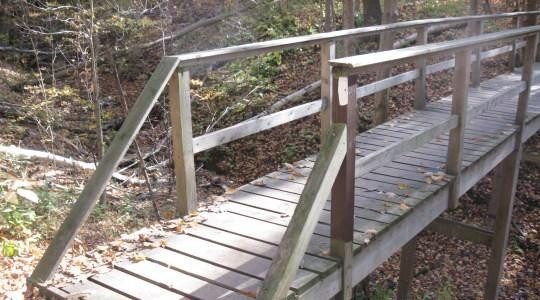 Komoka Provincial Park-伦敦必去景点