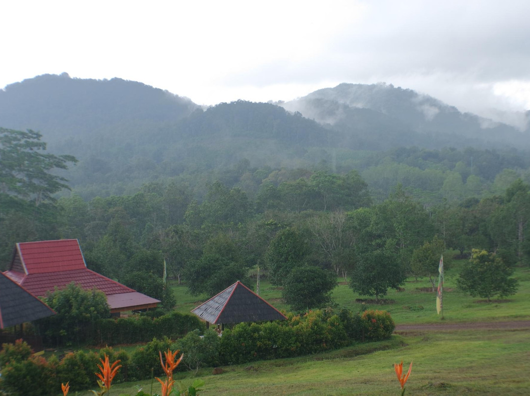 Pangkuan Hill景点图片