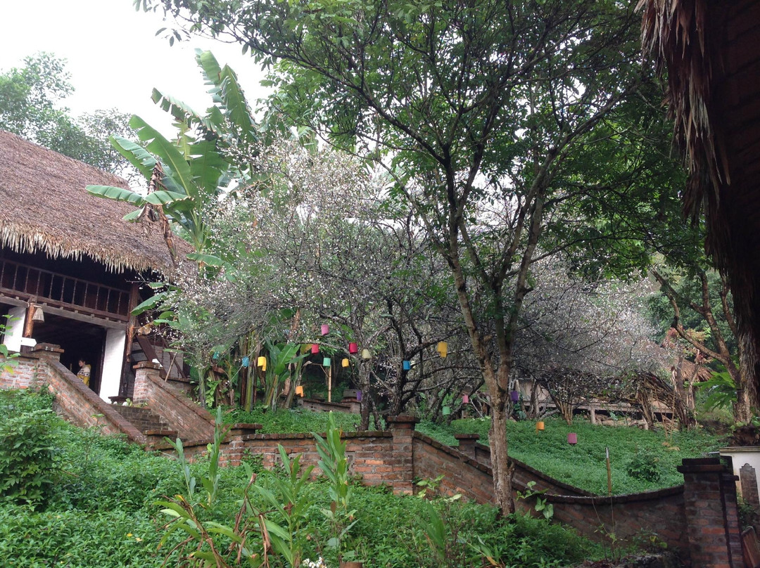 The Muong’s Culture Museum景点图片