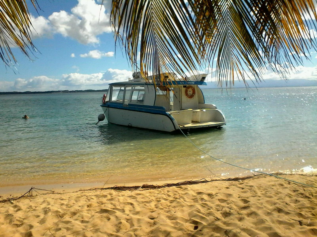 Clarisma Tour-Petit-Canal必去景点