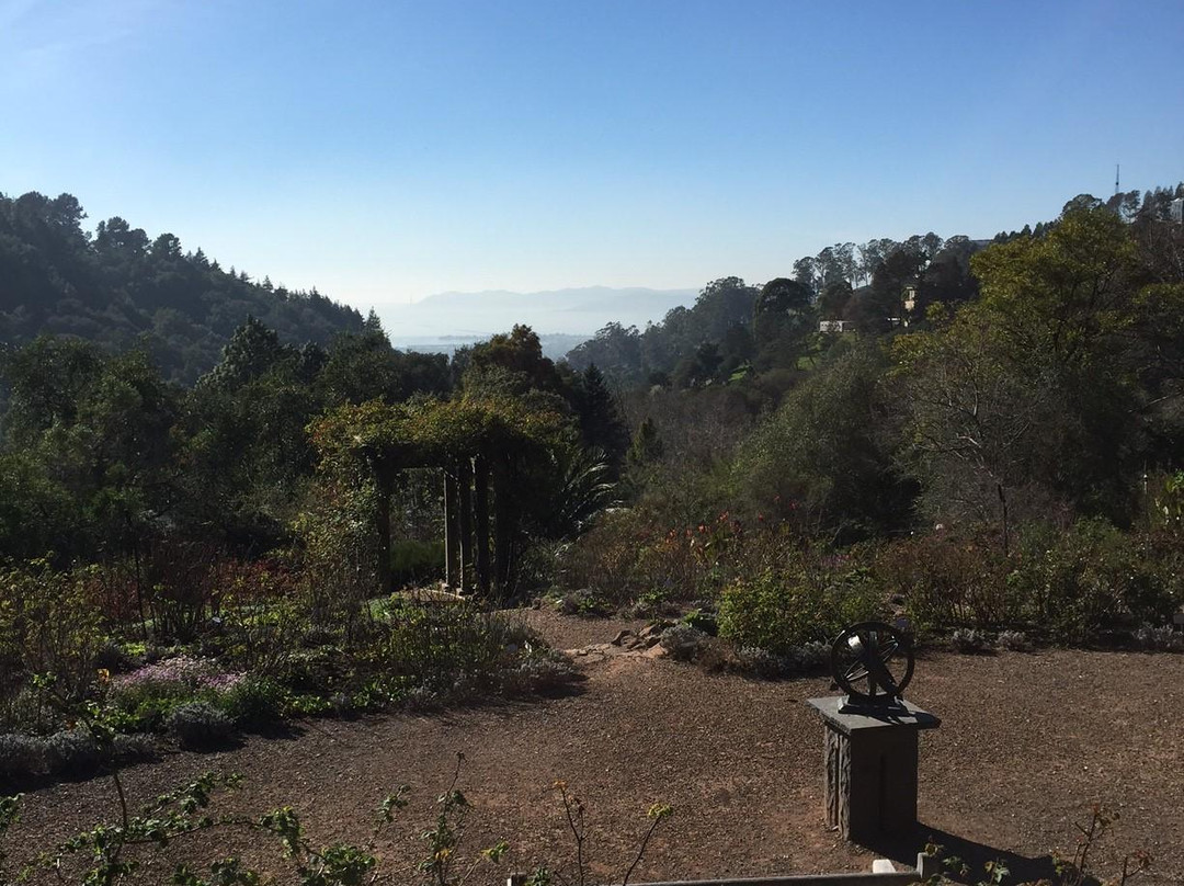 加州大学伯克利分校植物园-伯克利必去景点