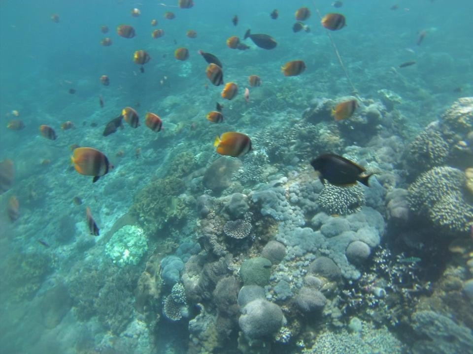 YOS Dive Bali-南湾必去景点