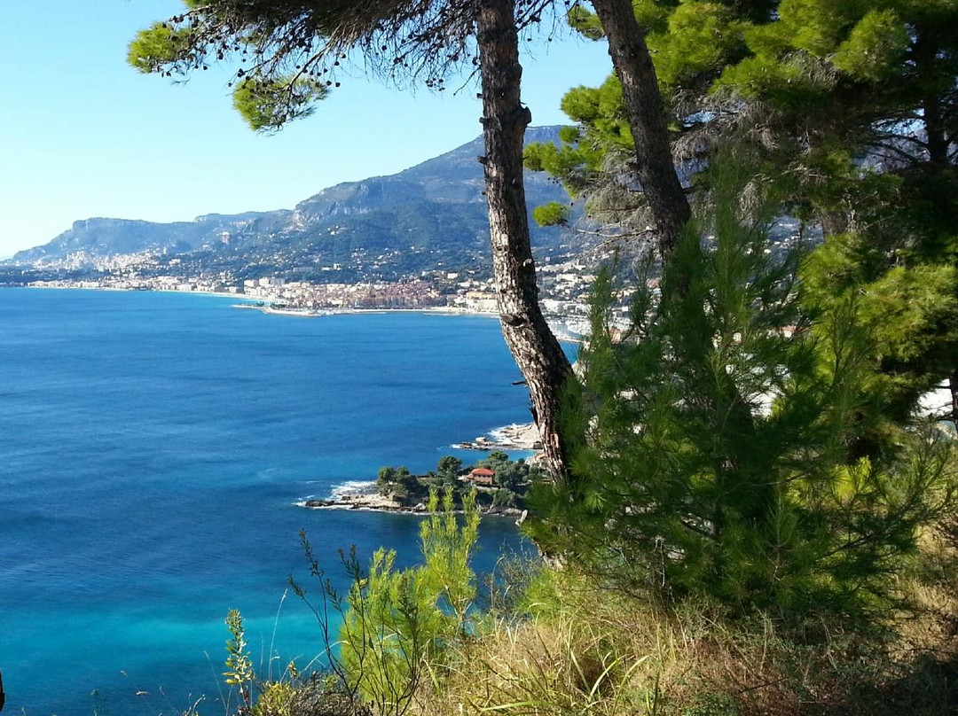 Live Harmony-芒通必去景点