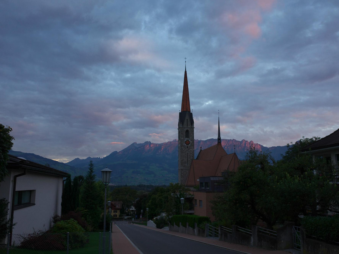 Hotel Schaanerhof主图