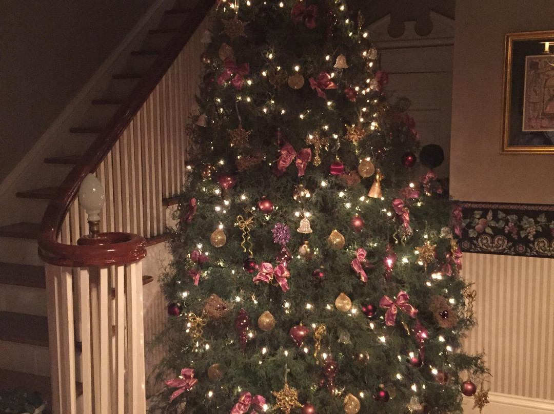 Robin's Nest Bed and Breakfast主图