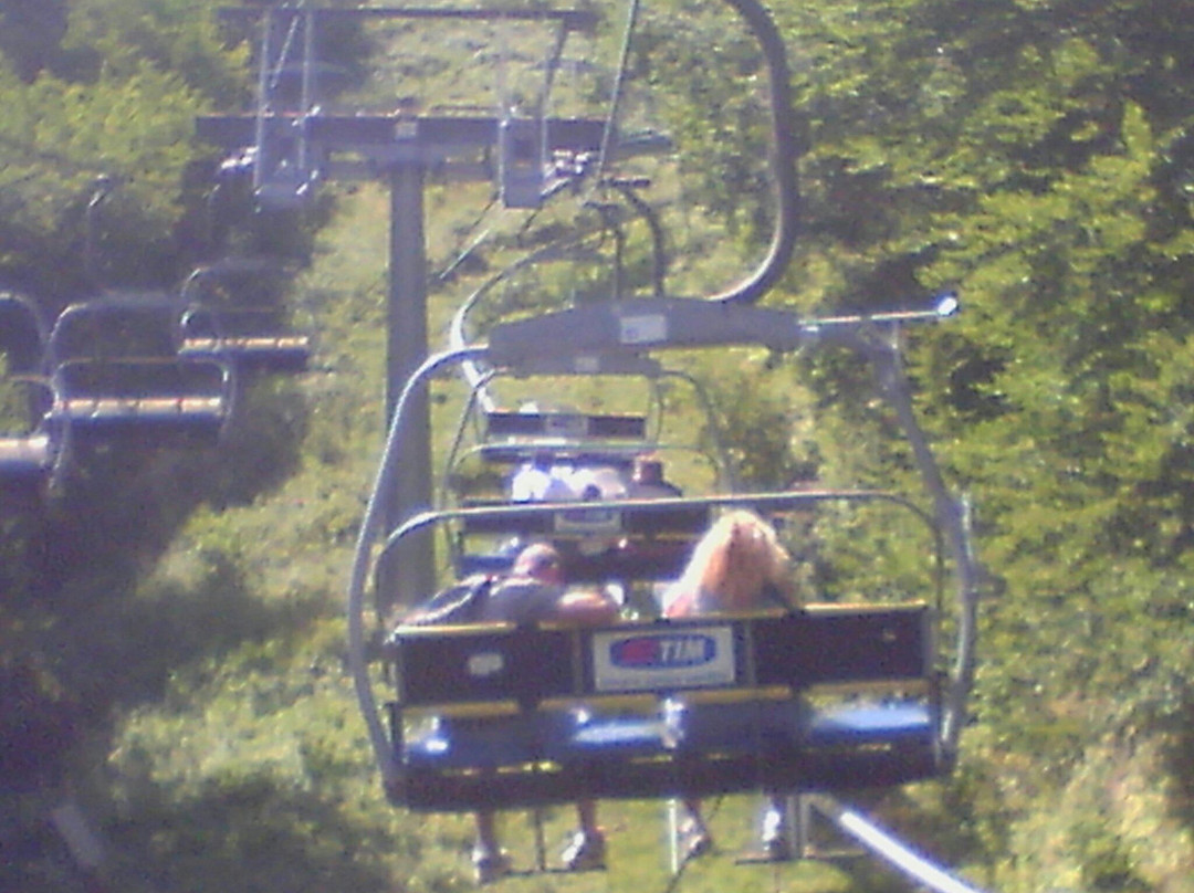 Adventure Park Cimone景点图片