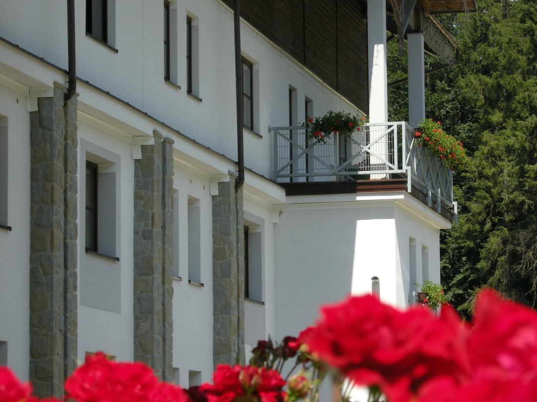 Uhryn酒店住宿-Hotel Jaworzyna Krynicka