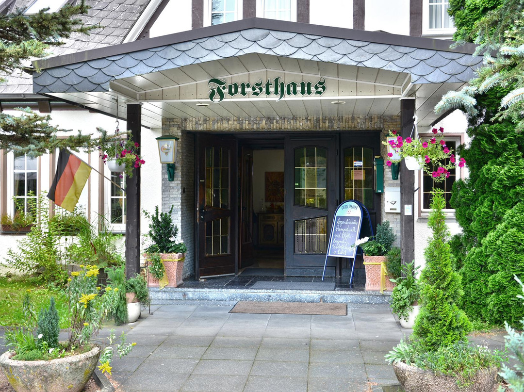 Forsthaus Ewig主图