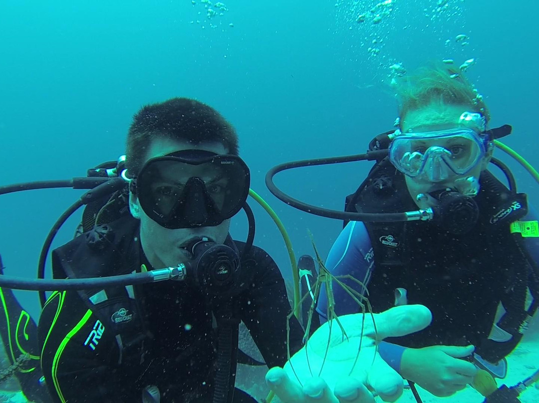 Man'balaou Club de Plongée-Saint Louis必去景点