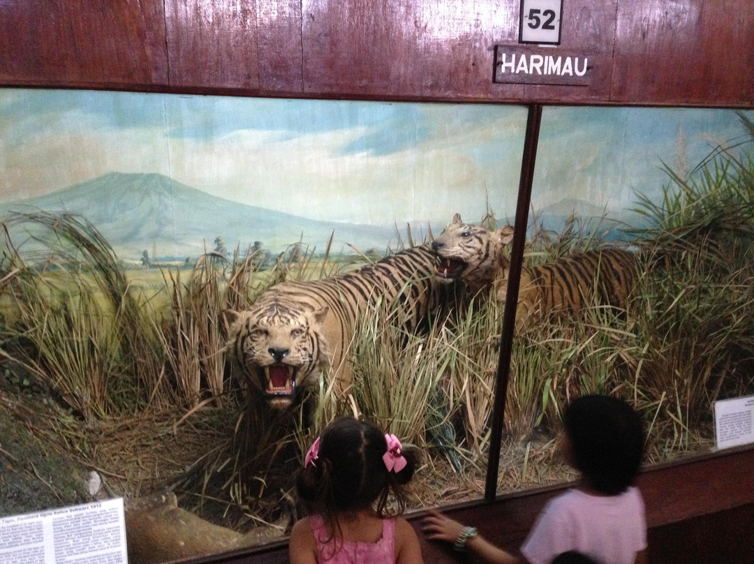 Museum Zoologi-茂物必去景点