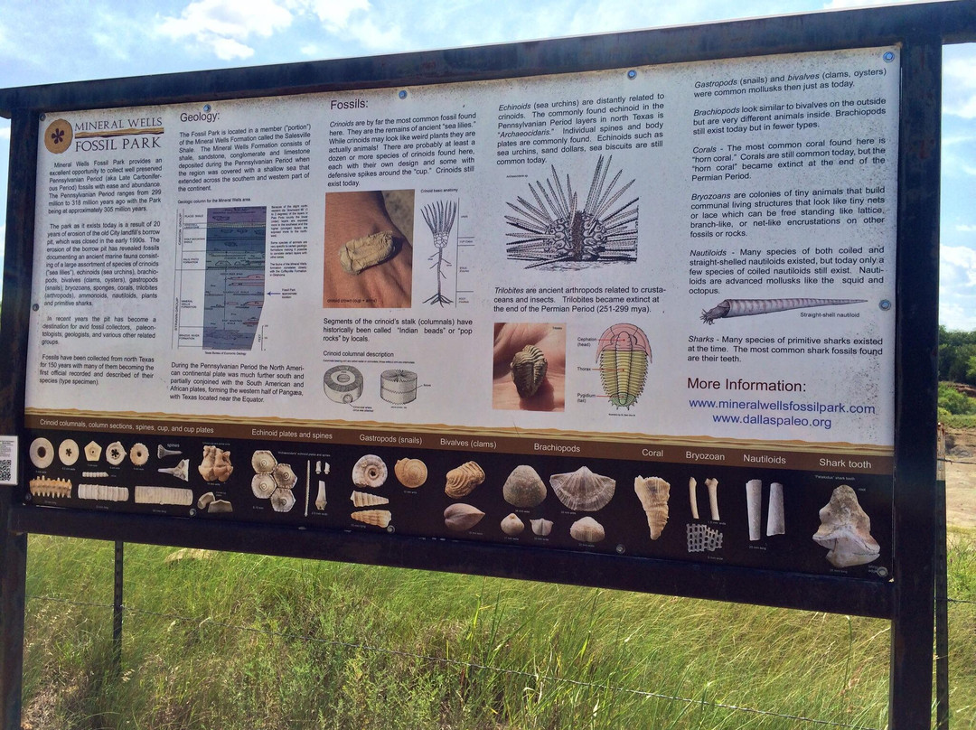 Mineral Wells Fossil Park-矿泉井城必去景点