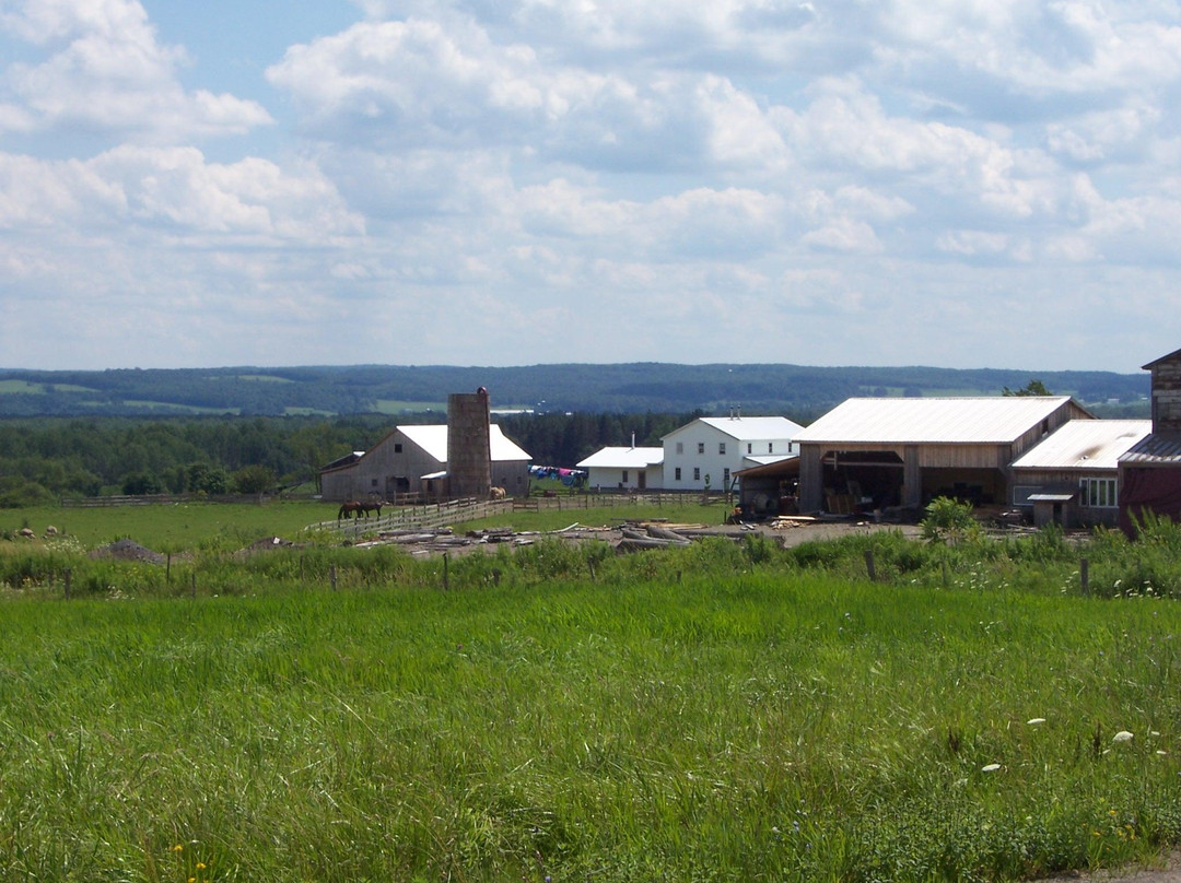 Guided Old Order Amish Tours-Randolph必去景点