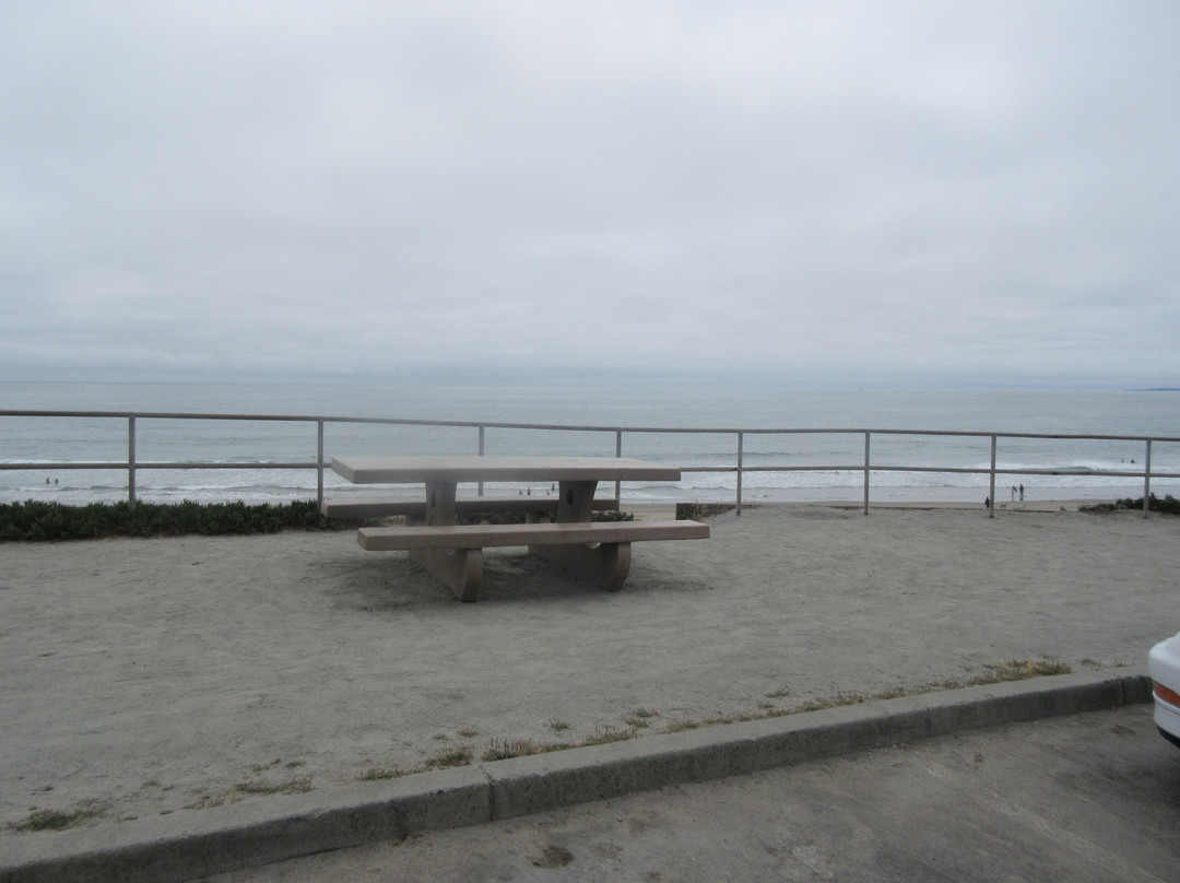 Manresa State Beach-阿普托斯必去景点