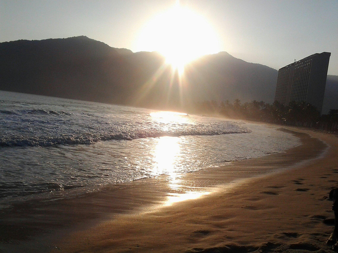 Playa Bahía de Cata景点图片