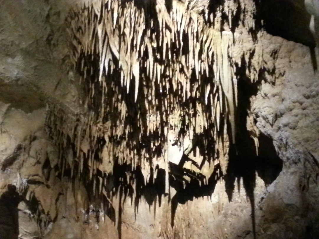 Resavska Cave-Despotovac必去景点