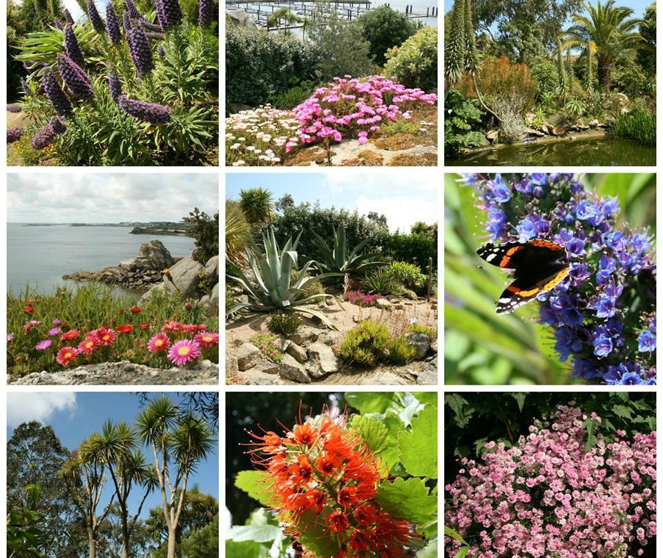 Jardin Exotique et Botanique de Roscoff-罗斯科夫必去景点