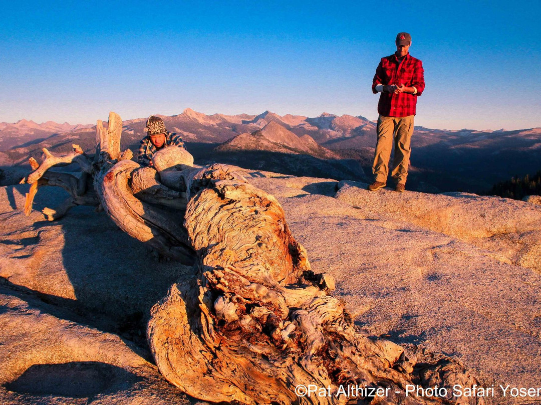Mountain Shuttle Yosemite-奥克赫斯特必去景点
