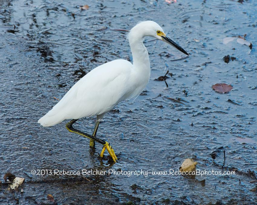 柏德女士湖越野骑行-奥斯丁必去景点