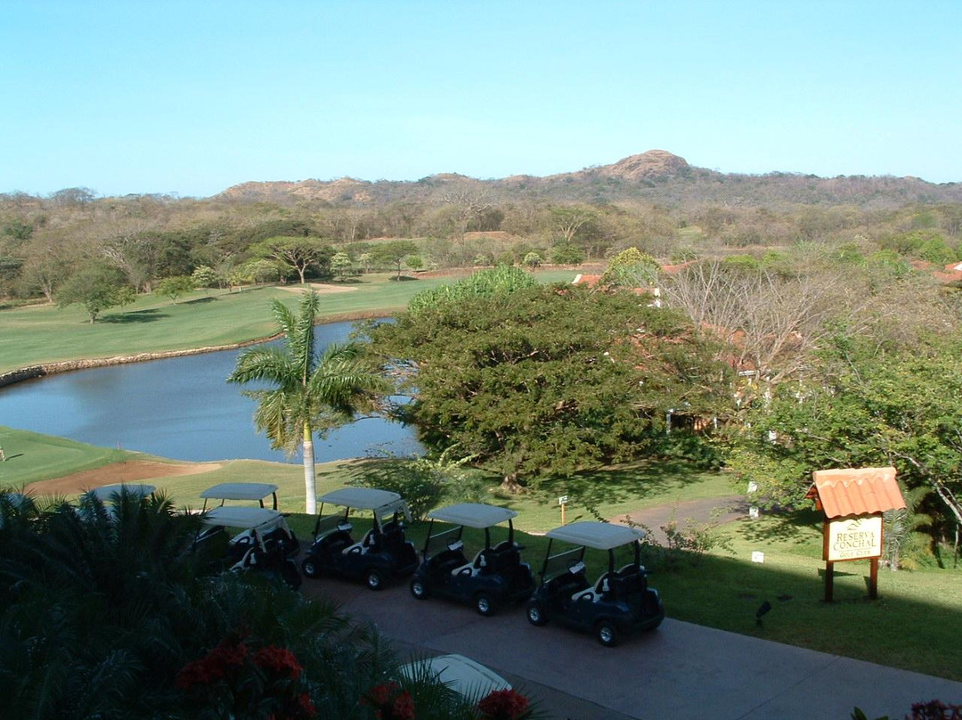 Garra de Leon Golf Course景点图片