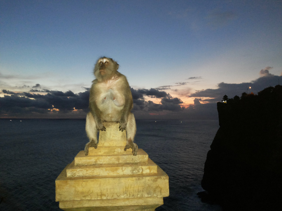 Bali Private Tour Id景点图片