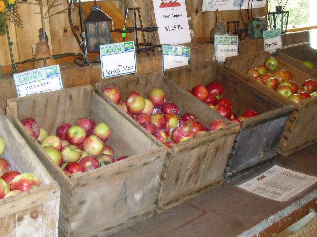 Averill Farm-Washington Depot必去景点