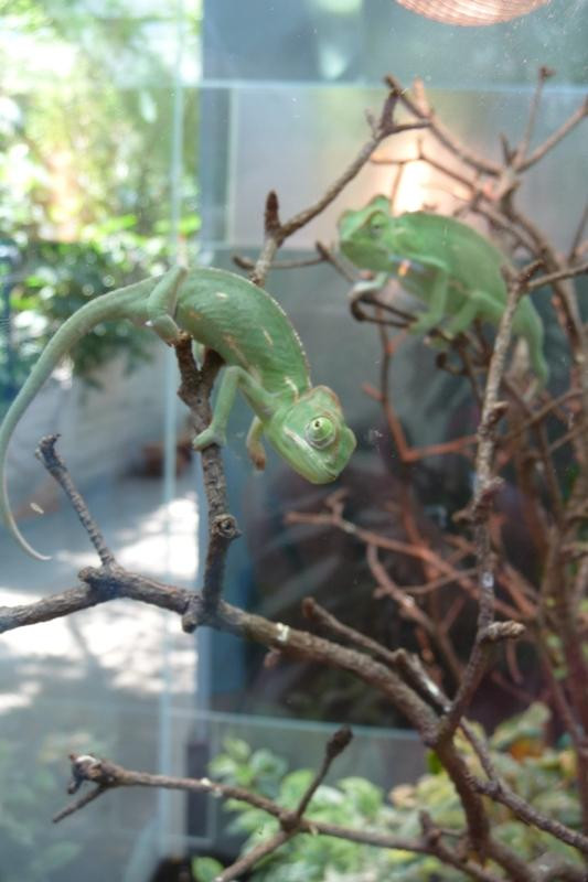 Biosphäre Potsdam-波茨坦必去景点