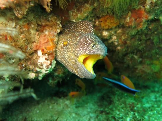 At the Robertsons Bed and Breakfast主图