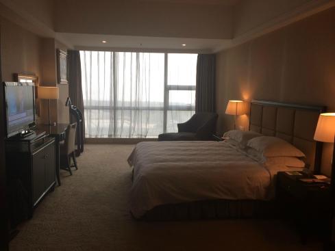 美爵深圳东方银座酒店-客卧