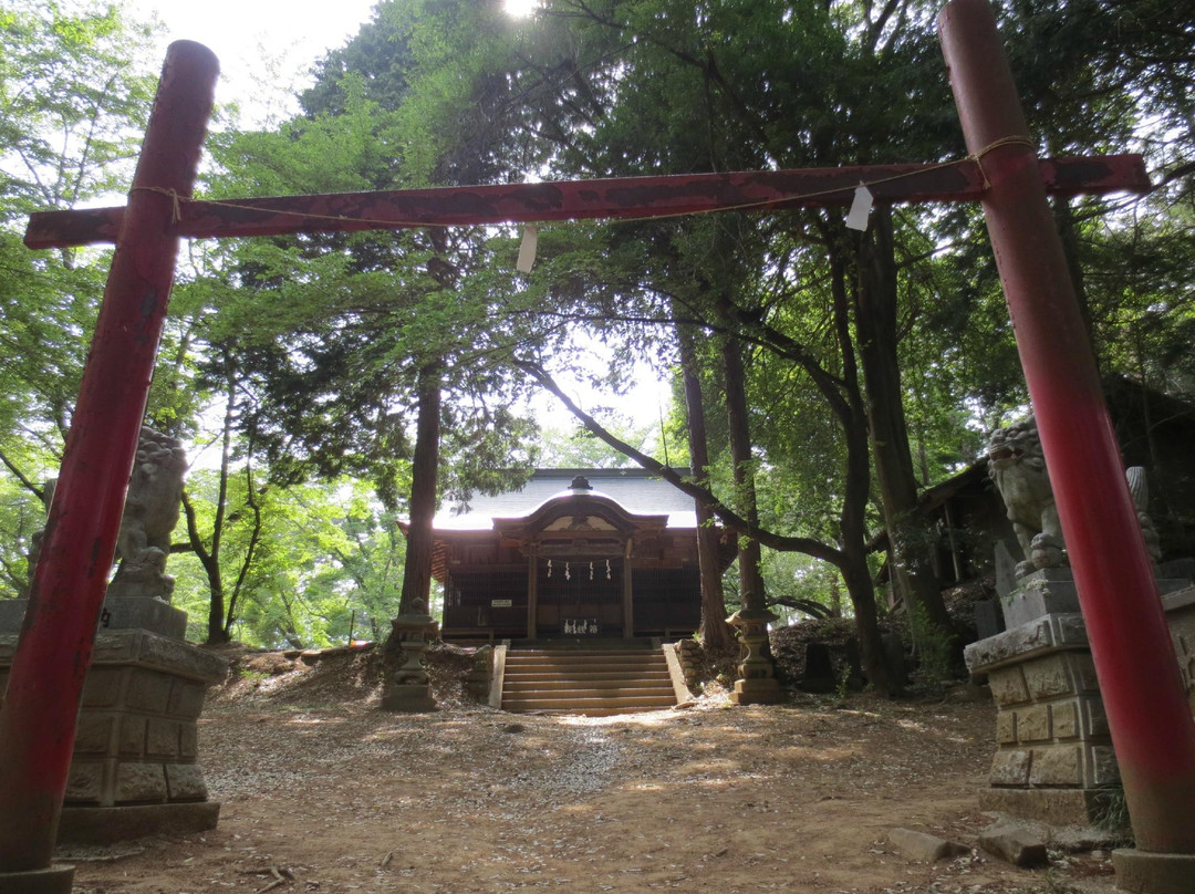 Shinfu Castle Site景点图片