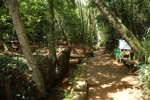 Reserva Florestal do Poço Escuro景点图片