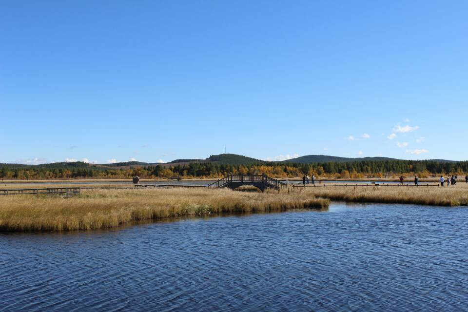 坝上红山军马场-围场县必去景点