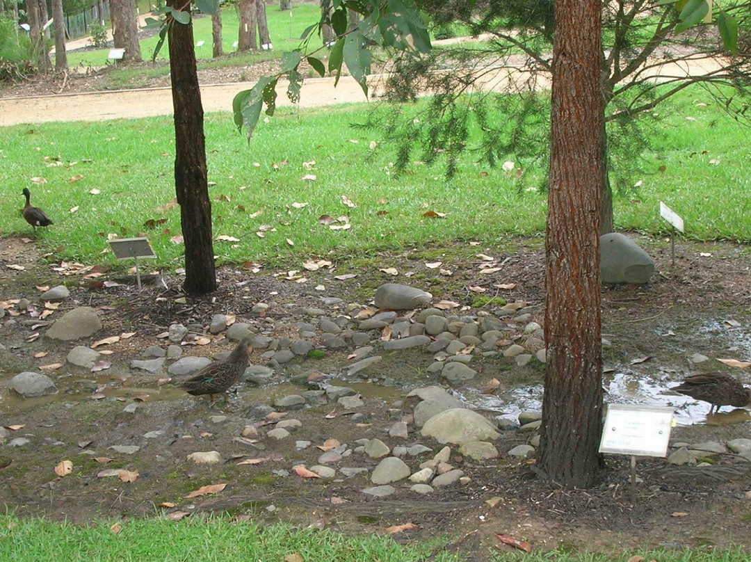 Eurobodalla Regional Botanic Gardens景点图片