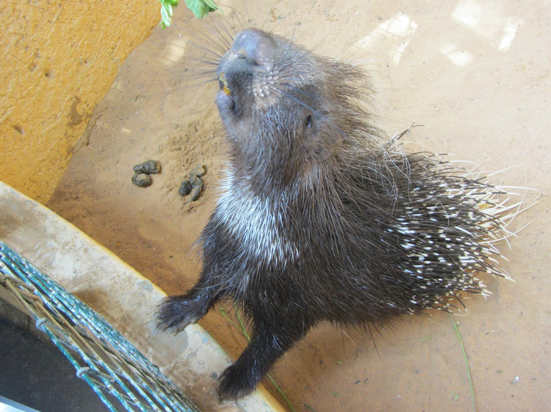 Emirates Park Zoo & Resort-阿布扎比必去景点